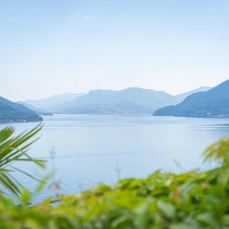 Swiss Blue Residence. Apartment Lake Paradise Brissago Eksteriør bilde