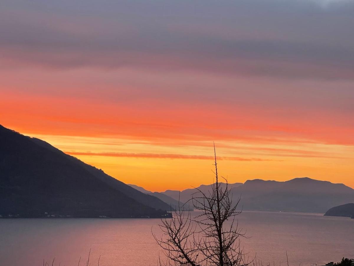 Swiss Blue Residence. Apartment Lake Paradise Brissago Eksteriør bilde